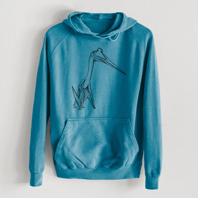 high-quality athletic sweatshirtQuetzalcoatlus Northropi  - Mid-Weight Unisex Vintage 100% Cotton Hoodie